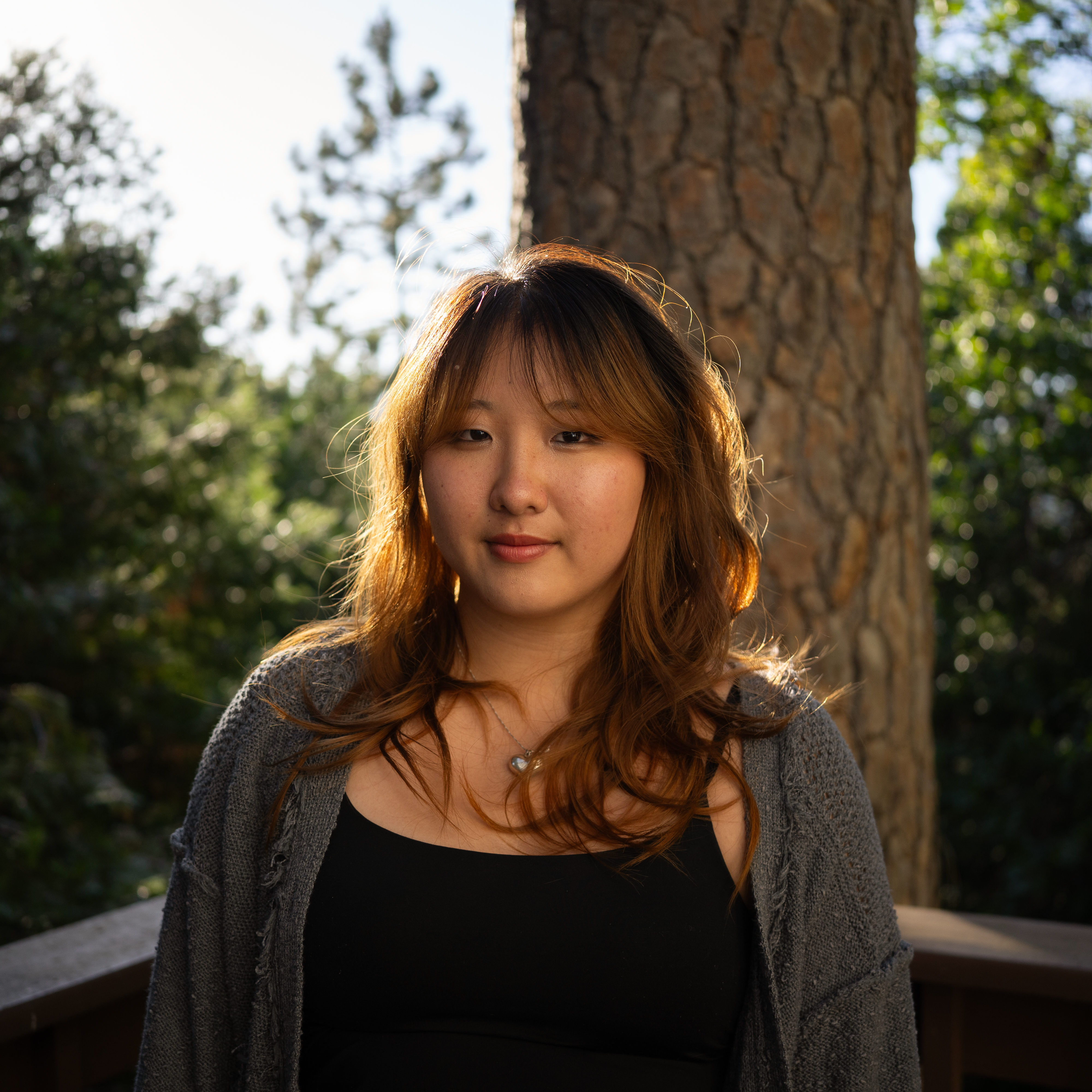 Lisa Wang